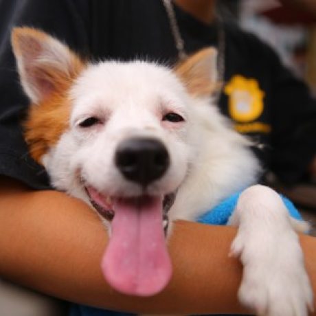 Profile picture of Quynh Pham Khanh