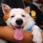 Profile picture of Quynh Pham Khanh